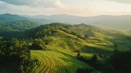 Obraz premium Lush green landscape with rolling hills, tranquil scene under soft sunlight, ideal for nature-themed projects and relaxation.