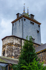Old European building and green tree 