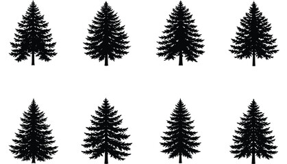 Naklejka premium set of palm trees silhouette 