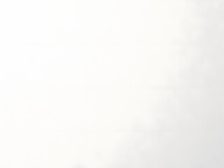 Soft white textured background with subtle embossed floral pattern. Elegant and minimalist design.