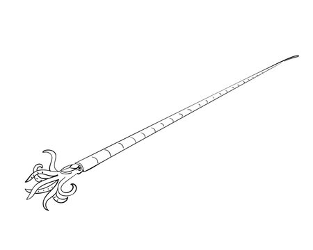 Prehistoric mollusk Endoceras, Hand drawn illustration, Extinct genus of large, straight shelled cephalopod from Ordovician era, Vector sketch of ancient invertebrate sea creature