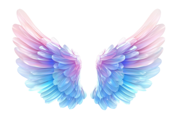 angel wings isolated on white