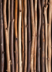 Fototapeta premium A texture and pattern with lots of cut tree branches