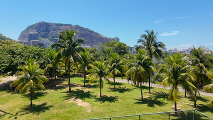view of rodrigo de freitas lagoon in rio de janeiro.