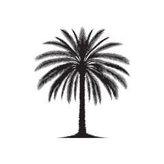 Obraz premium Date palm tree isolated on white background