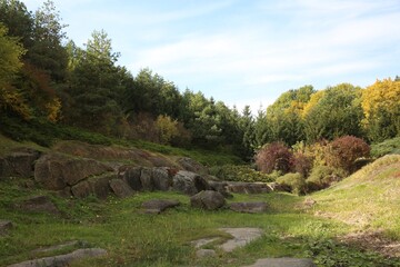 Beautiful view of trees and rocks outdoors on sunny day