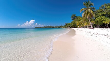 Fototapeta premium Tropical beach paradise, calm waves, white sand, palm trees. Perfect for travel brochure or tourism advertisement