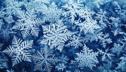 Snowflakes cover a winter landscape in delicate patterns and shimmering beauty