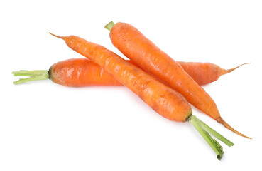 Fresh carrots isolated on white. Root vegetable