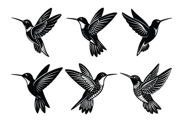 Set of humming birds silhouette vector illustration
