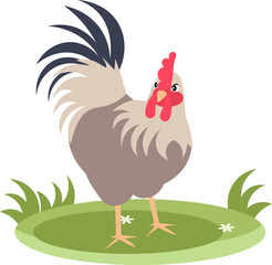 Farm Animals. Cute farm. A beautiful rooster stands on the green grass. Collection of farm animals. Baby flat vector illustration. Isolated