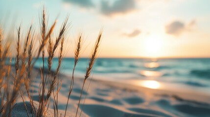 Sunset serenity waves and grass on a tranquil beach nature scene coastal environment peaceful viewpoint relaxation concept