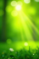 Fototapeta premium Sun-drenched green bokeh, bright spring backdrop, flora, design, outdoor