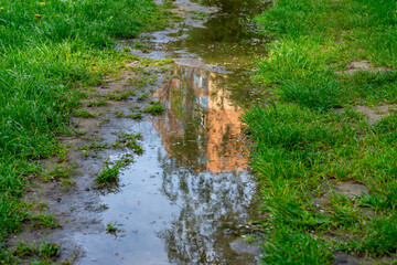 Fototapete bei efototapeten.de bestellen   