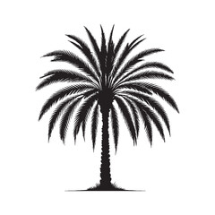 Date palm tree isolated on white background