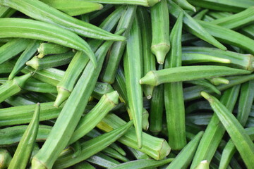 Fresh okra on the market in India.(lady finger)