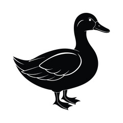 duck silhouette  illustration on white background