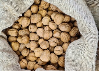 The ripened in-shell nuts are filled into large bags for sale at the city market