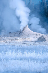A geyser erupts in a snowy winter landscape, sending a plume of steam into a frosty forest
