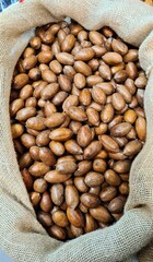 The ripened in-shell nuts are filled into large bags for sale at the city market