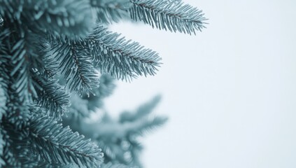 Christmas background with pine branches