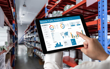 Computer software for website traffic analytics data on computer screen. Concept of SEO search engine optimization and customer targeting for online business snugly