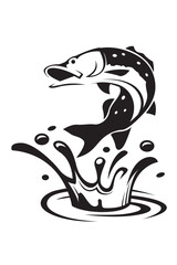 jumping fish and splash isolated on white background