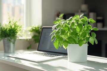 Fototapeta premium Minimalist Home Office with Laptop and Greenery – Eco-Conscious Workspace and Green Technology Concept.