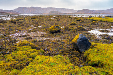 Low tide at Badnabay on the shore of Loch Laxford and at the NC500 in north-west Scotland.