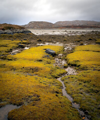 Low tide at Badnabay on the shore of Loch Laxford and at the NC500 in north-west Scotland.