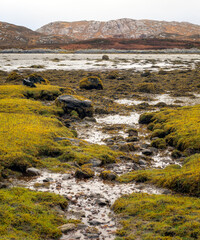 Low tide at Badnabay on the shore of Loch Laxford and at the NC500 in north-west Scotland.