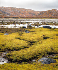 Low tide at Badnabay on the shore of Loch Laxford and at the NC500 in north-west Scotland.