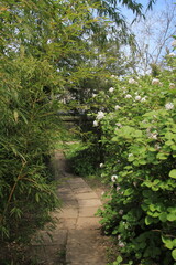 Obraz premium path in the green garden