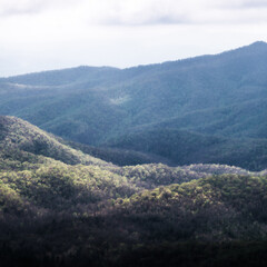 Fototapeta premium Misty Mountain Layers with Soft Light and Rolling Greenery