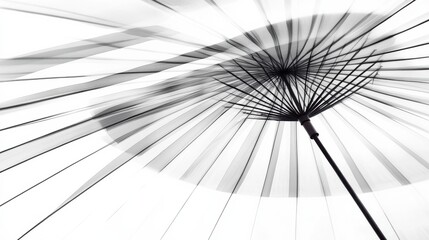 An artistic view looking up at a black umbrella, showcasing the intricate structure and delicate textures, adding a sense of elegance and simplicity to everyday life.