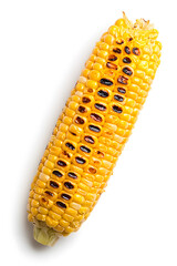 Grilled sweet corn top view isolated on white background
