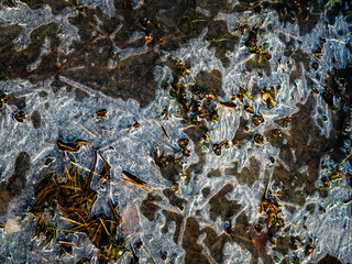Eis und Frost auf einer Wiese