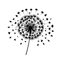 black and white flower vector