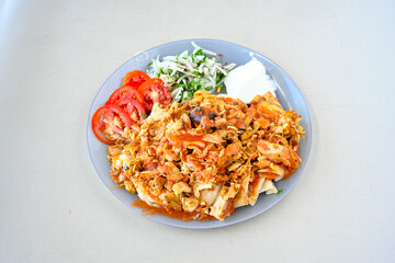Lavash zurna doner kebab ( zurna  durum )  or shawarma sliced in plate isolated.  hatay usulu tavuk Et doner durum. Gobit ekmek arasi doner. Pilavustu iskender doner kebap. 
