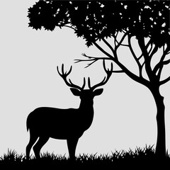 silhouette of deer