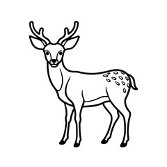 illustration line art deer  