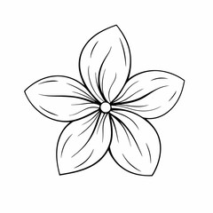 black and white flower  