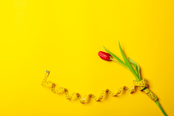 One red tulip and centimeter tape on a yellow background with copy space text place. Fitness...