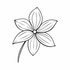 black and white flower