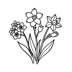 flower vector illustration
