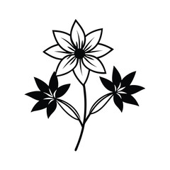 black and white flowers vector