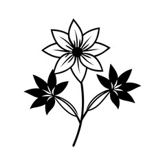 black and white flowers