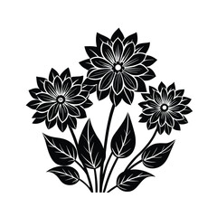 black and white flowers vector