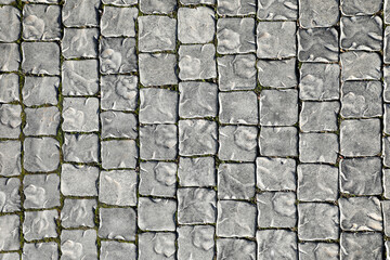 Texture of grey paved road as background