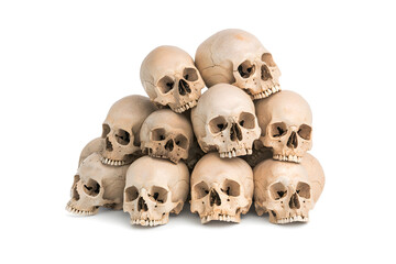 Obraz premium Pile of human skulls isolated on white background